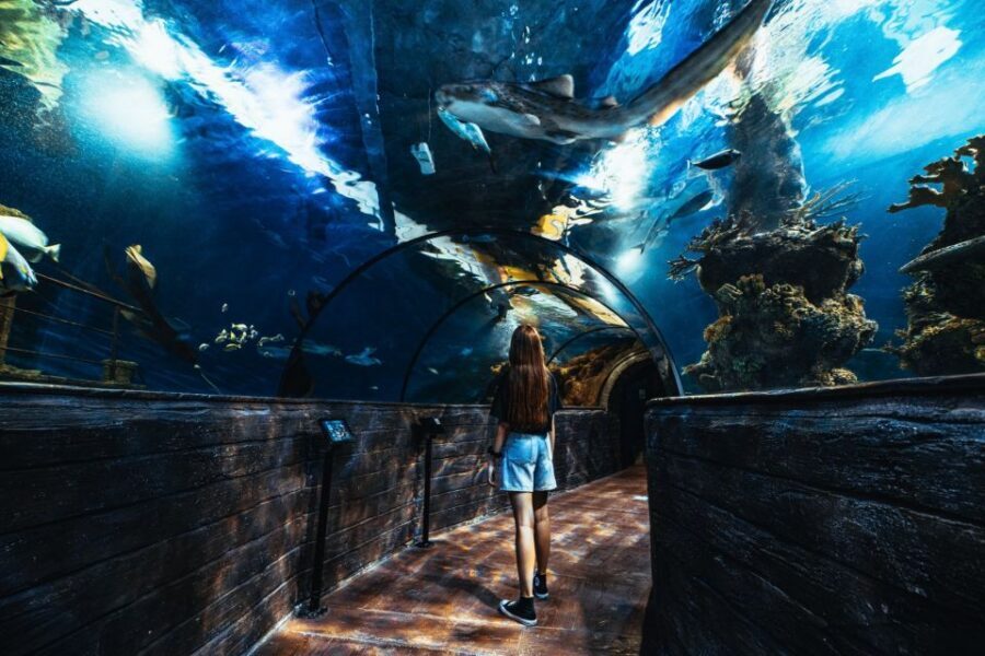 St Paul's Bay: Malta National Aquarium Entry Ticket - Scheduled talks, feedings, and the fun add-ons