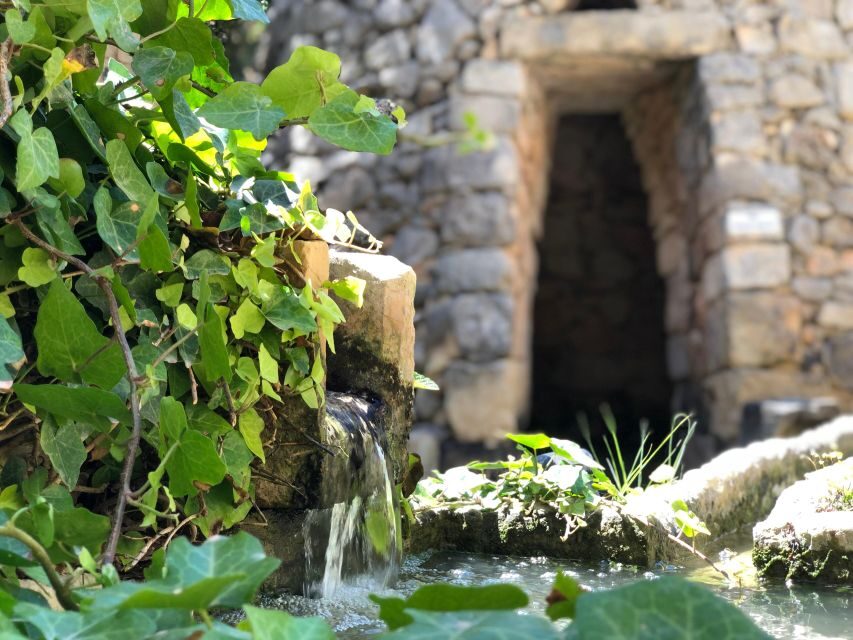 The Limestone Heritage Park and Gardens (Entry Ticket) - Key highlights you should know