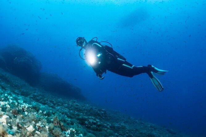 Two Morning Dives in Gozo for Certified Diver - Marsalforn meet-up at 8:00 a.m. and gear prep that feels thoughtful
