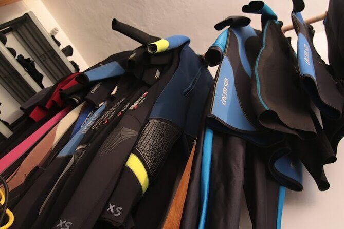 Two Morning Dives in Gozo for Certified Diver - The in-between reset: tank change, snacks, and logbooks