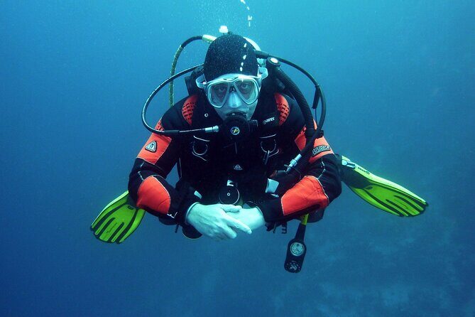 Two Morning Dives in Gozo for Certified Diver - Second underwater session in the same Gozo area