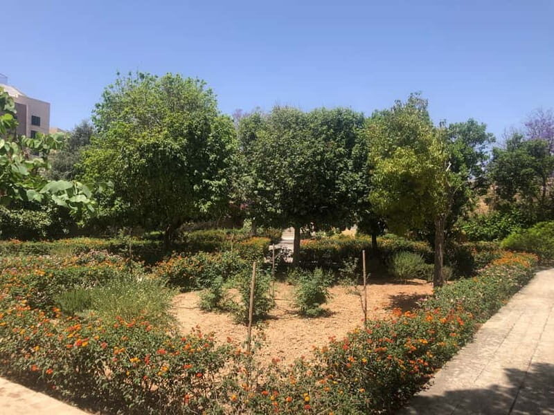Visit Tarxien Temples, Kalanka Bay, Blue Grotto, Marsaxlokk - Zejtun (Città Beland): museum first, then garden views